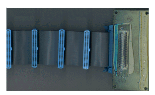 [ TDM Ribbon Cable, bottom view]