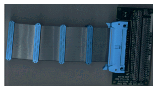 [ TDM Ribbon Cable, top view ]